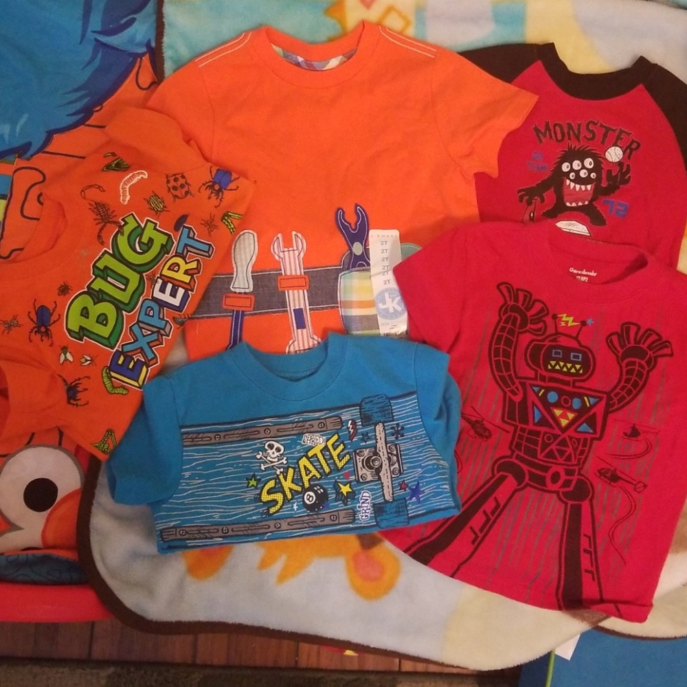 2 T  t shirts- lot of 5